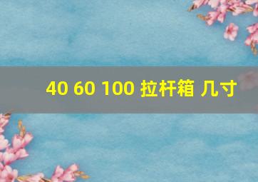 40 60 100 拉杆箱 几寸